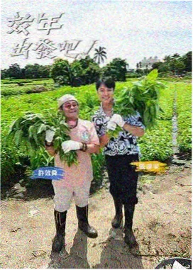 财务分析师尹荷娜人物档案插画